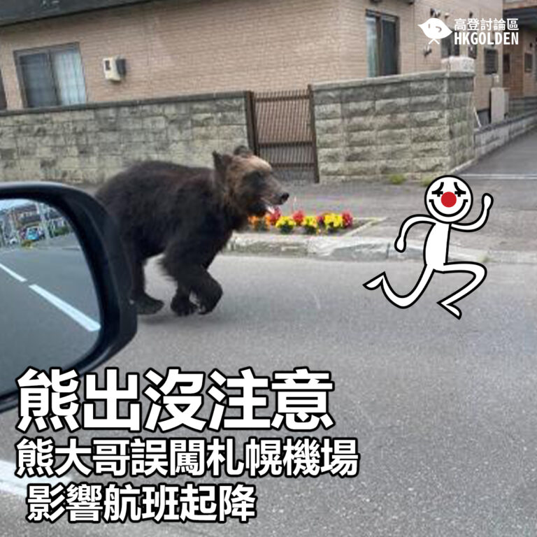 【熊出沒注意 熊大哥誤闖札幌機場影響航班起降】