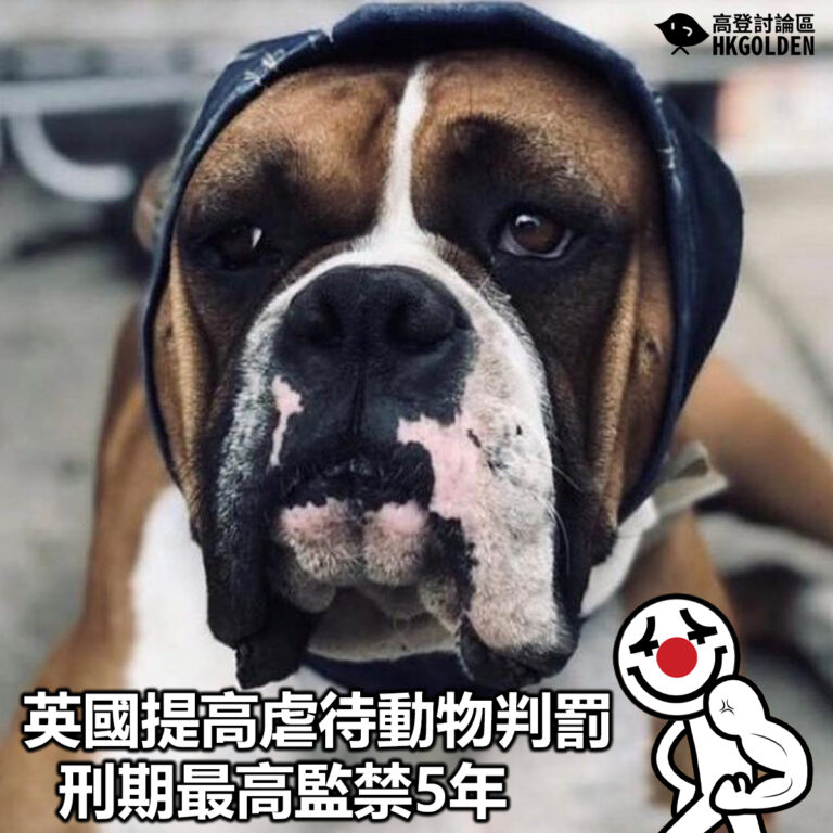 【英國提高虐待動物判罰  刑期最高監禁5年】