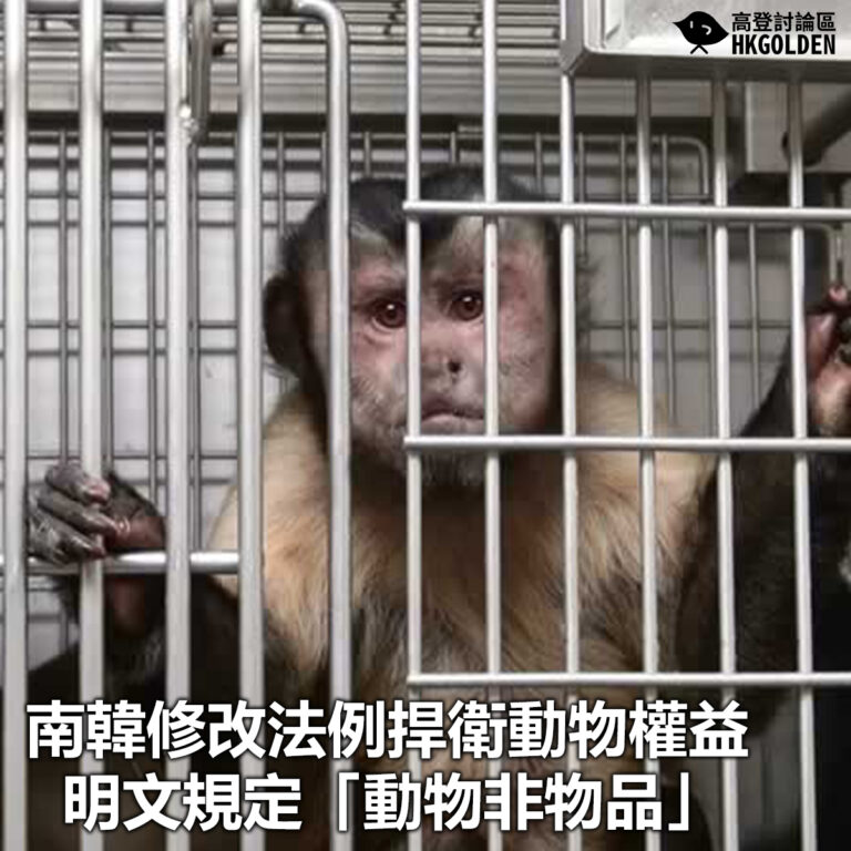 【南韓修改法例捍衛動物權益 明文規定「動物非物品」】