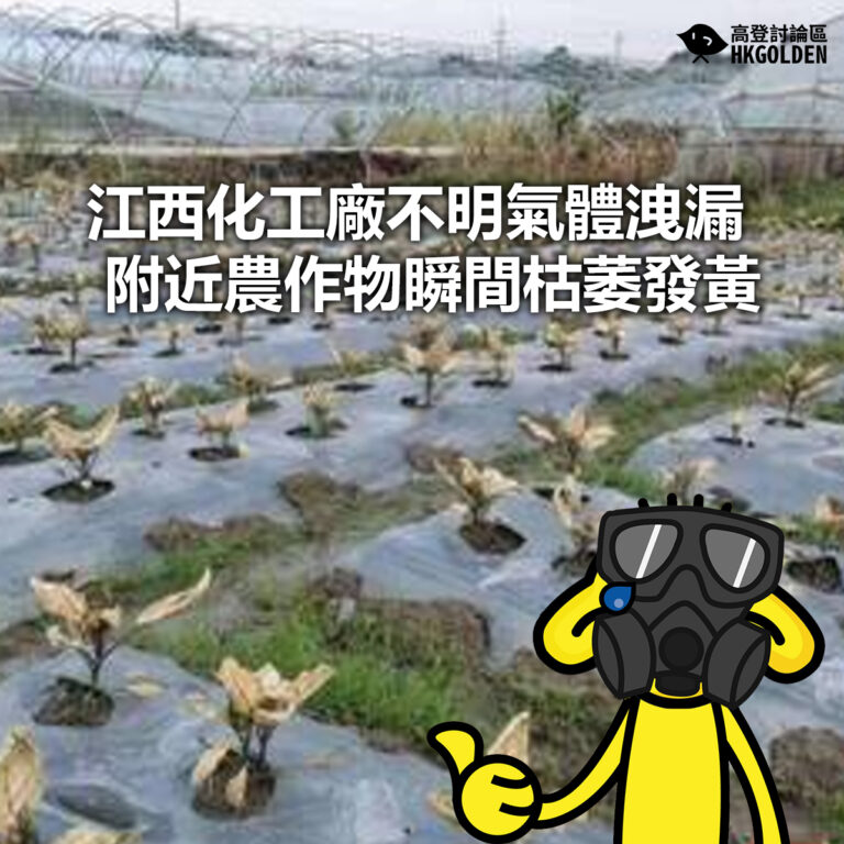 【江西化工廠不明氣體洩漏 附近農作物瞬間枯萎發黃】