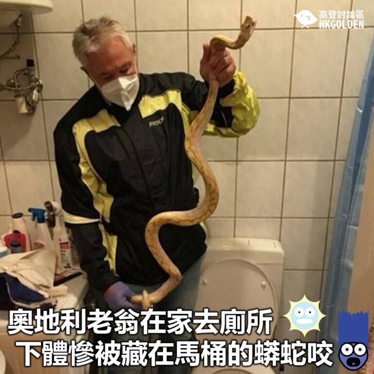 【奧地利老翁在家去廁所 下體慘被藏在馬桶的蟒蛇咬 】