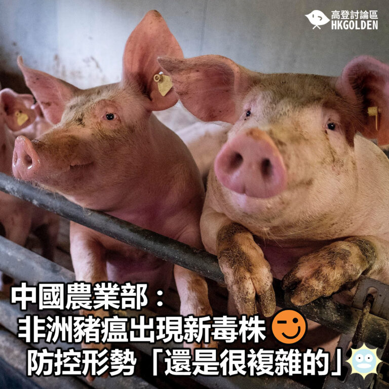 【中國農業部 : 非洲豬瘟出現新毒株  防控形勢「還是很複雜的」】