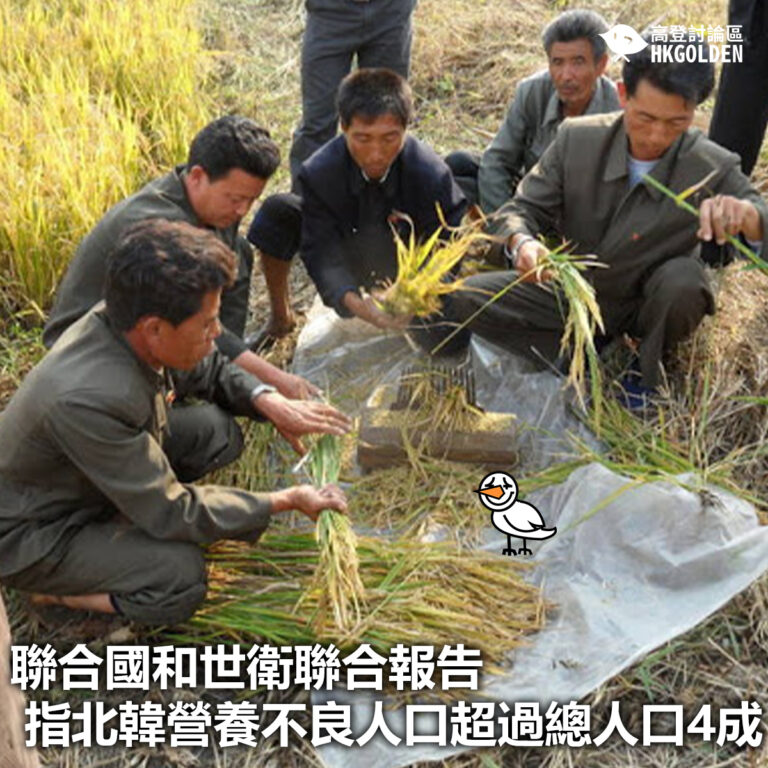 【聯合國和世衛聯合報告 指北韓營養不良人口超過總人口4成】