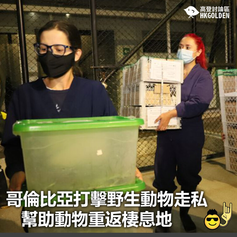 【哥倫比亞打擊野生動物走私  幫助動物重返棲息地】