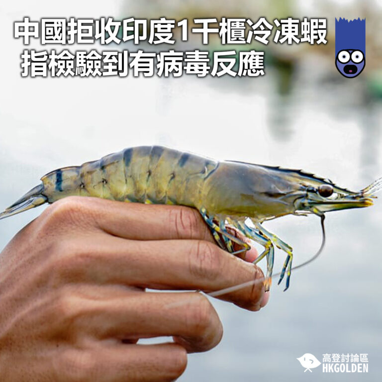 【中國拒收印度1千櫃冷凍蝦 指檢驗到有病毒反應 】