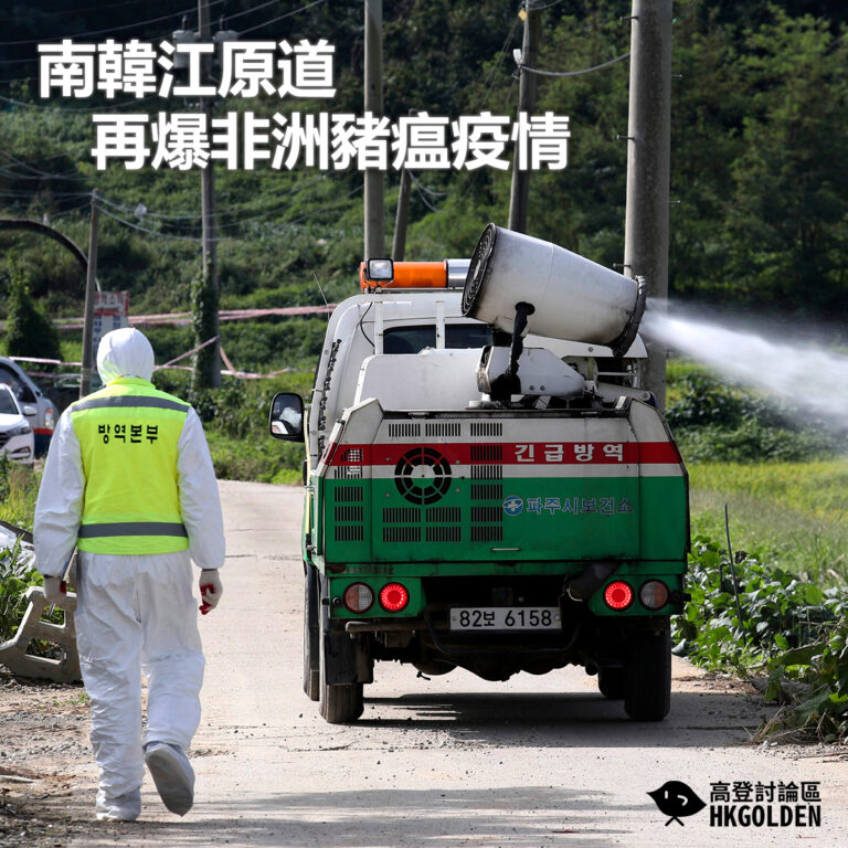 【南韓江原道再爆非洲豬瘟疫情】