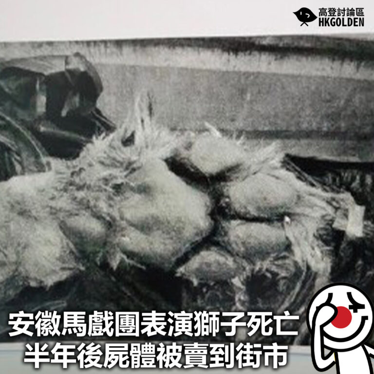 【安徽馬戲團表演獅子死後  半年後屍體被賣到街市】