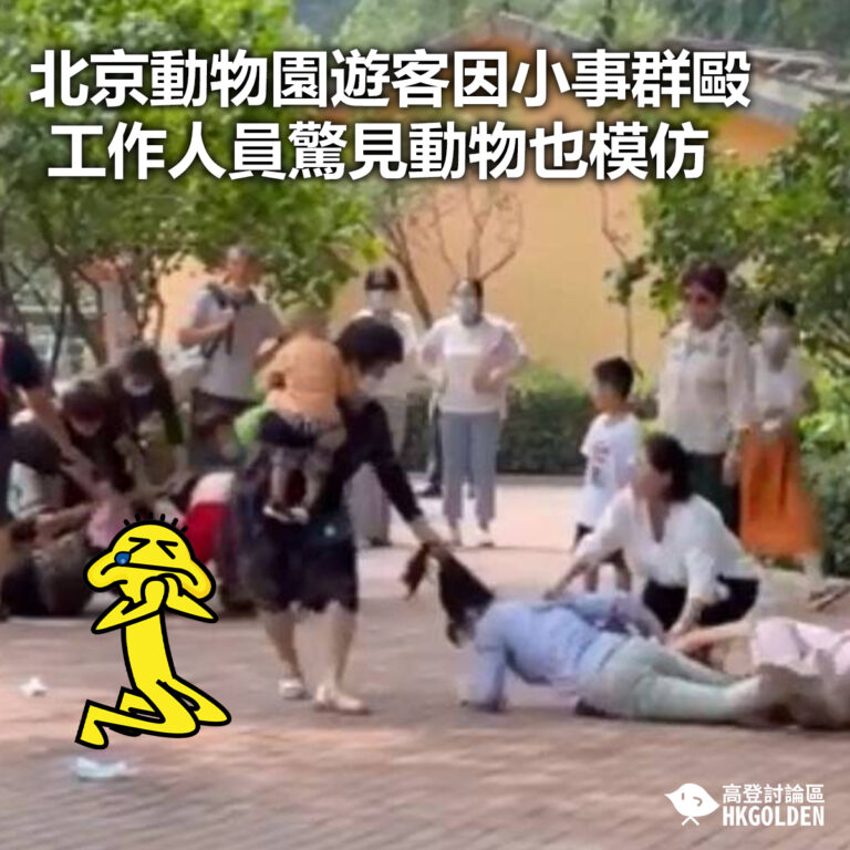 【北京動物園遊客因小事群毆 工作人員驚見動物也模仿】