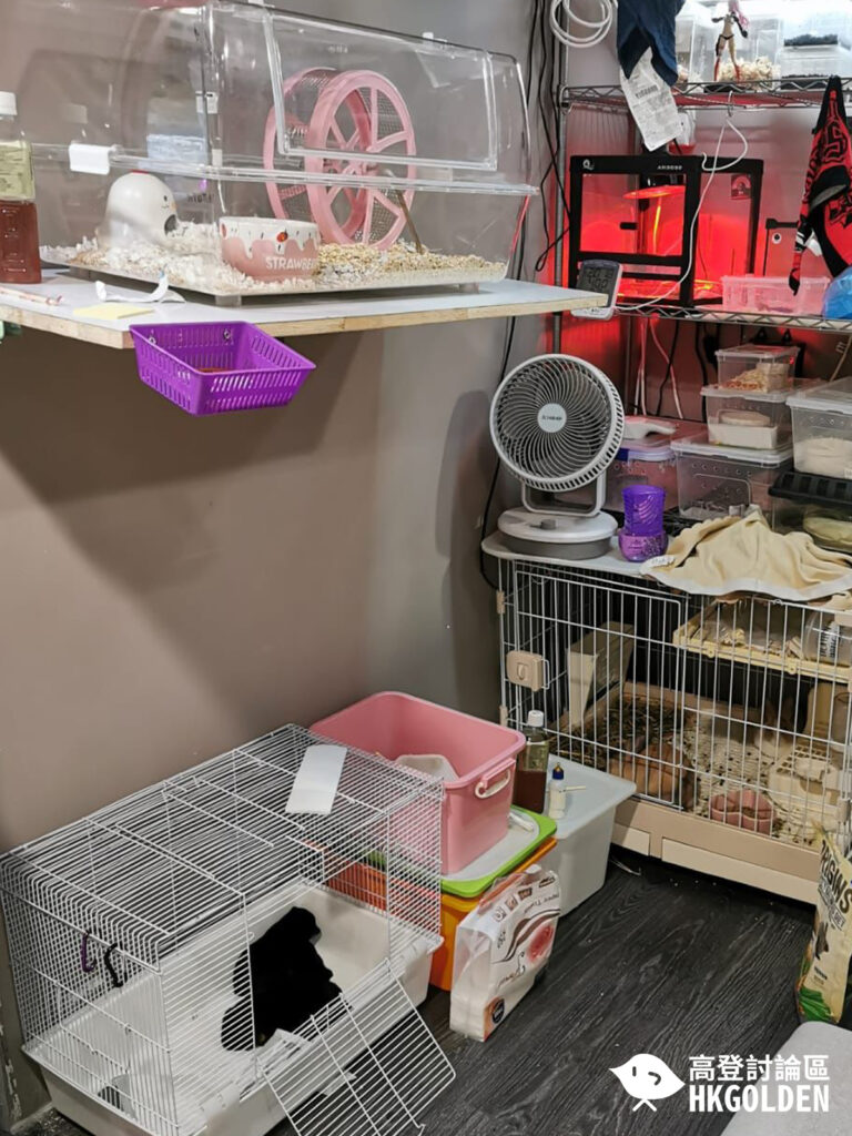 【地皇商場鋪頭傳出惡臭 報警後發現動物死於鋪內】