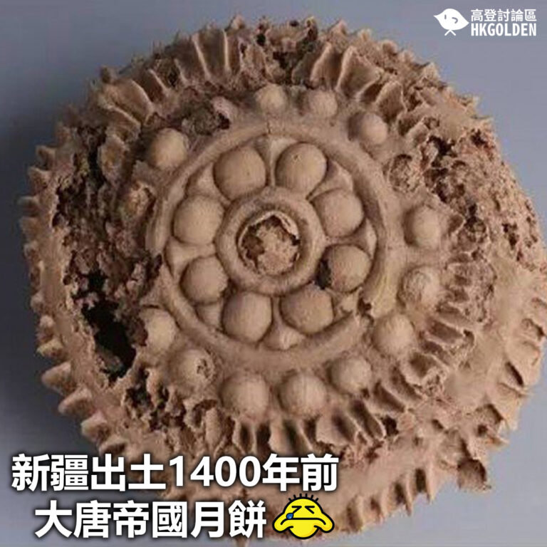 【新疆出土1400年前大唐帝國月餅】