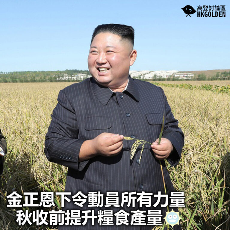 【金正恩下令動員所有力量 秋收前提升糧食產量】