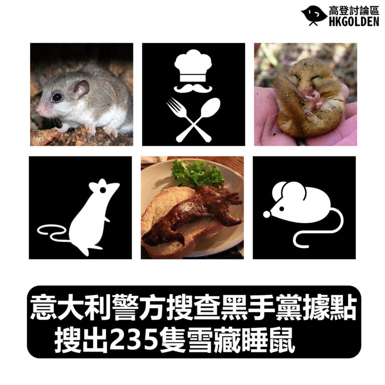 【意大利警方搜查黑手黨據點  搜出235隻雪藏睡鼠】