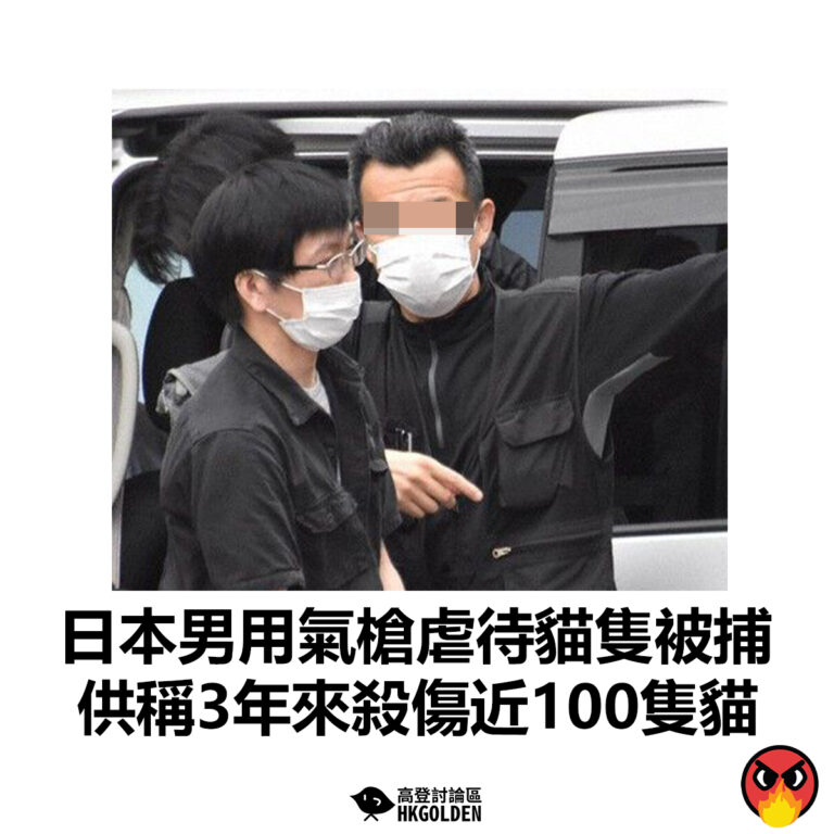 【日本男用氣槍虐待貓隻被捕  供稱3年來殺傷近100隻貓】