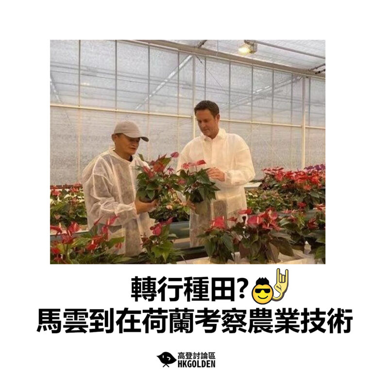 【轉行種田? 馬雲到在荷蘭考察農業技術】
