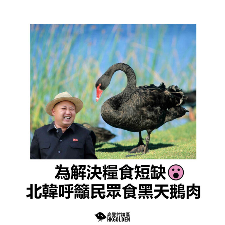 【為解決糧食短缺 北韓呼籲民眾食黑天鵝肉】