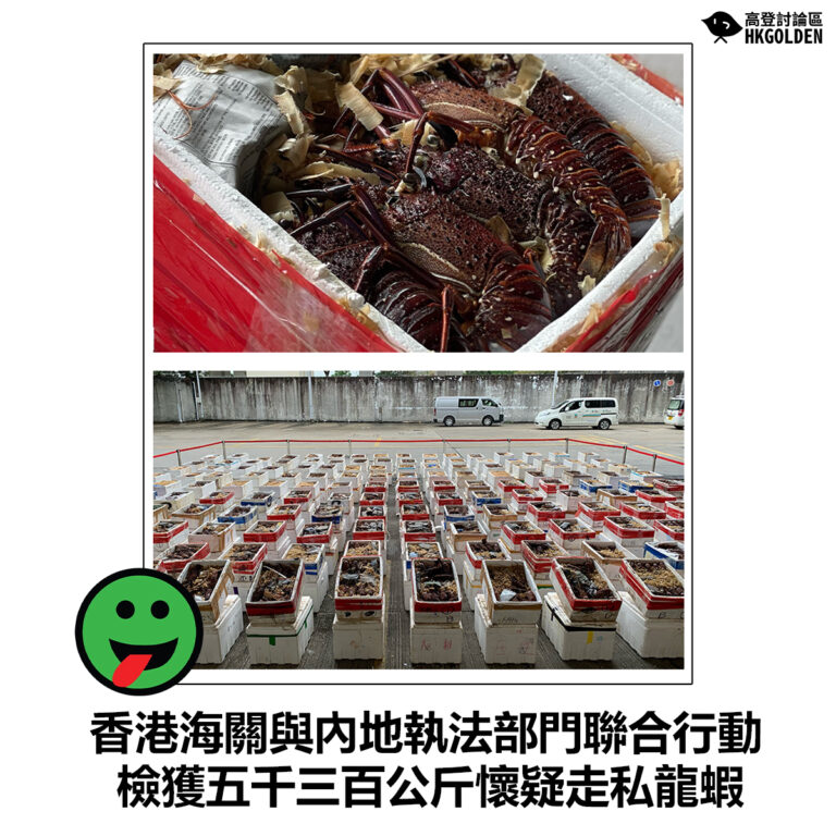 【香港海關與內地執法部門聯合行動  檢獲五千三百公斤懷疑走私龍蝦】