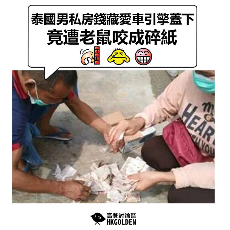 【泰國男私房錢藏愛車引擎蓋下 竟遭老鼠咬成碎紙】