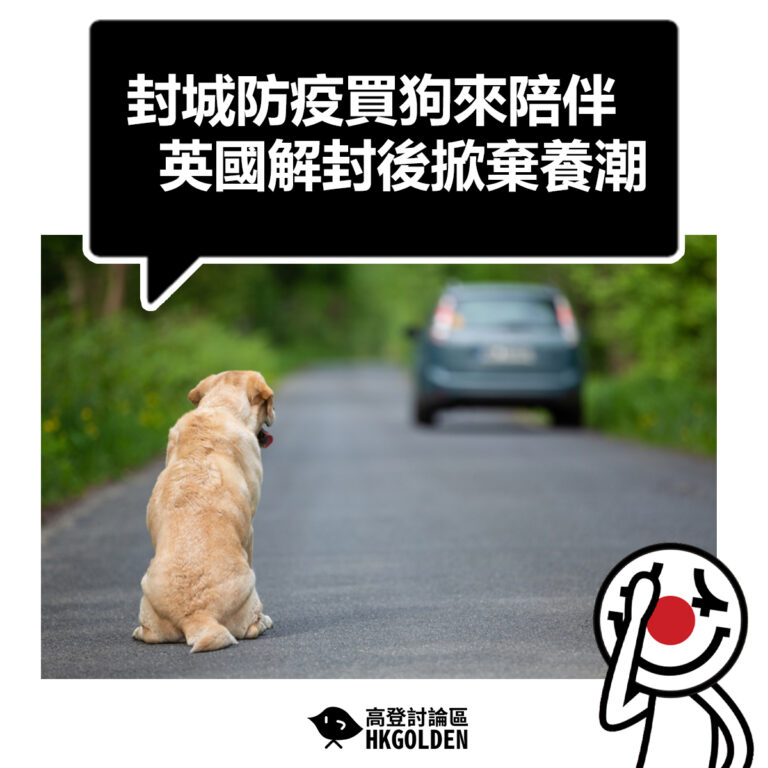 【封城防疫買狗來陪伴  英國解封後掀棄養潮】