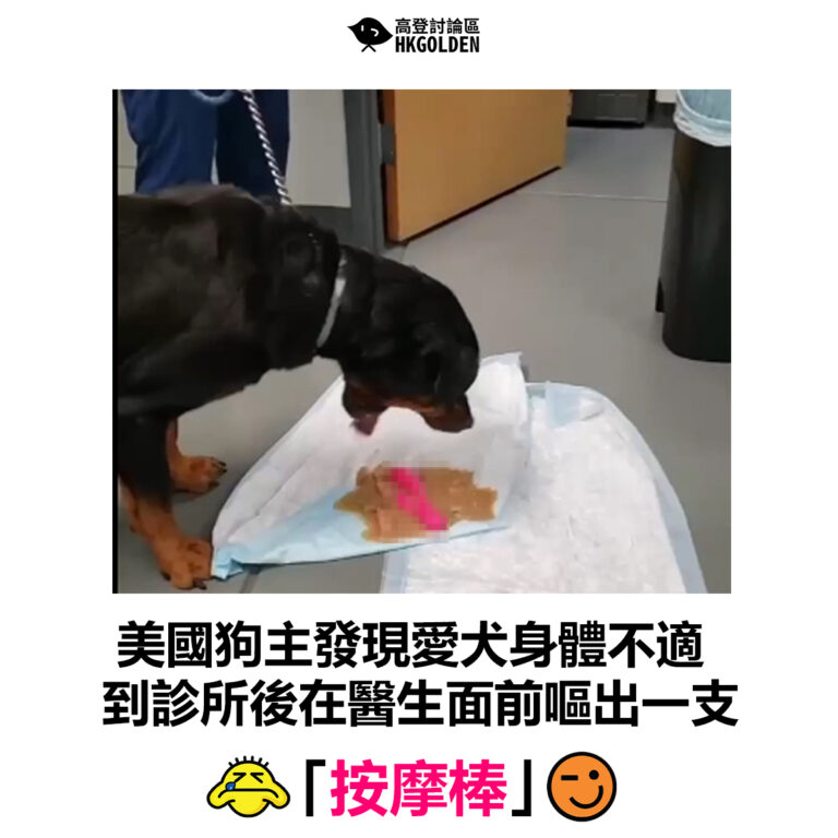 【美國狗主發現愛犬身體不適 到診所後在醫生面前嘔出一支「按摩棒」】