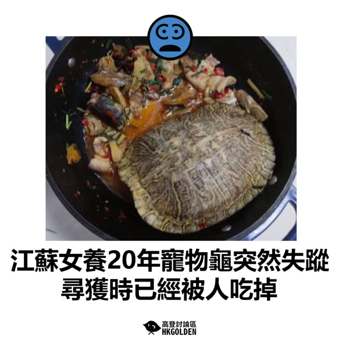 置中細