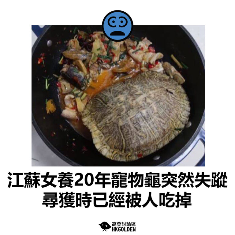 【江蘇女養20年寵物龜突然失蹤 尋獲時已經被人吃掉】