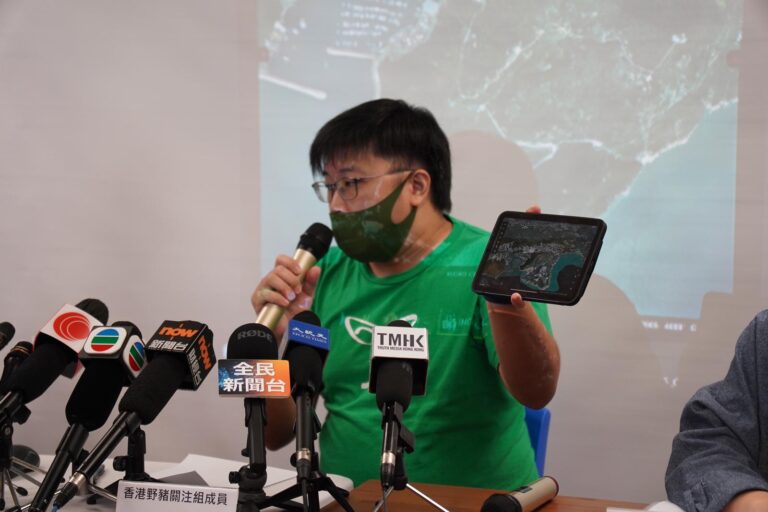 【「香港野豬關注組」: 將野豬人道毁滅 做法不道德】
