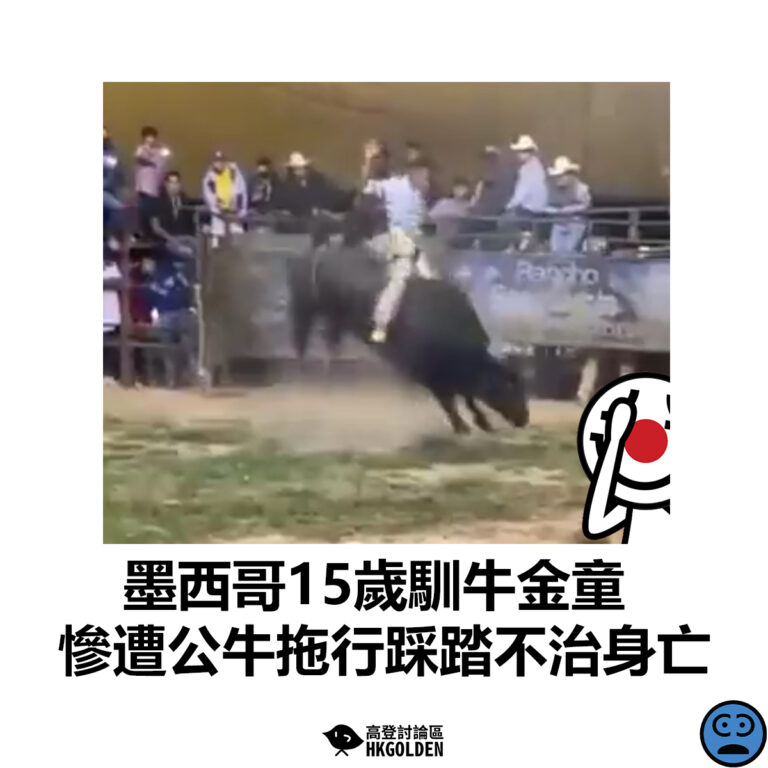 【墨西哥15歲馴牛金童 慘遭公牛拖行踩踏不治身亡】