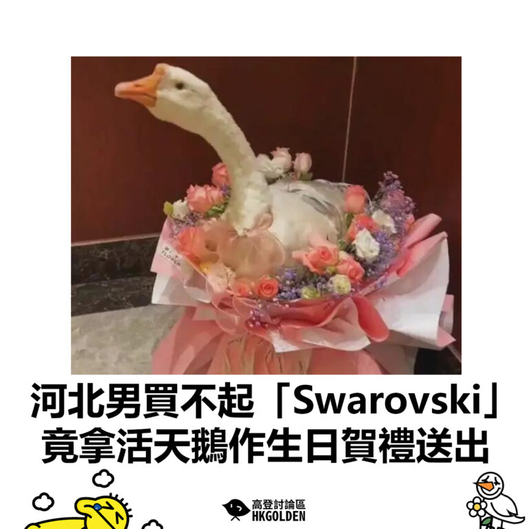 【河北男買不起「Swarovski」 竟拿活天鵝作生日賀禮送出】