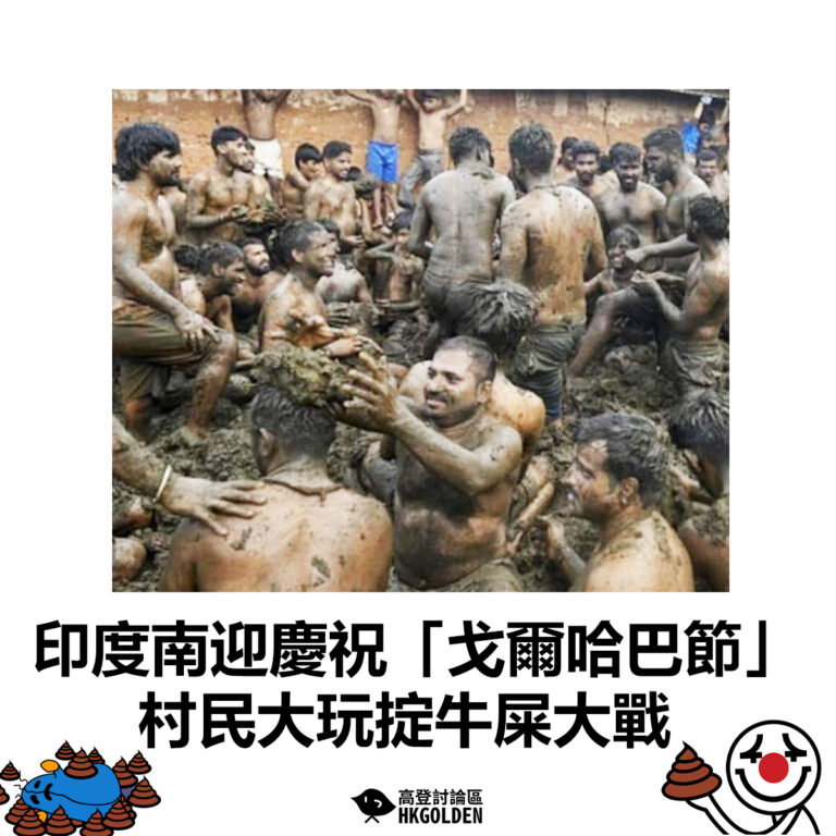 【印度南迎慶祝「戈爾哈巴節」 村民大玩掟牛屎大戰】