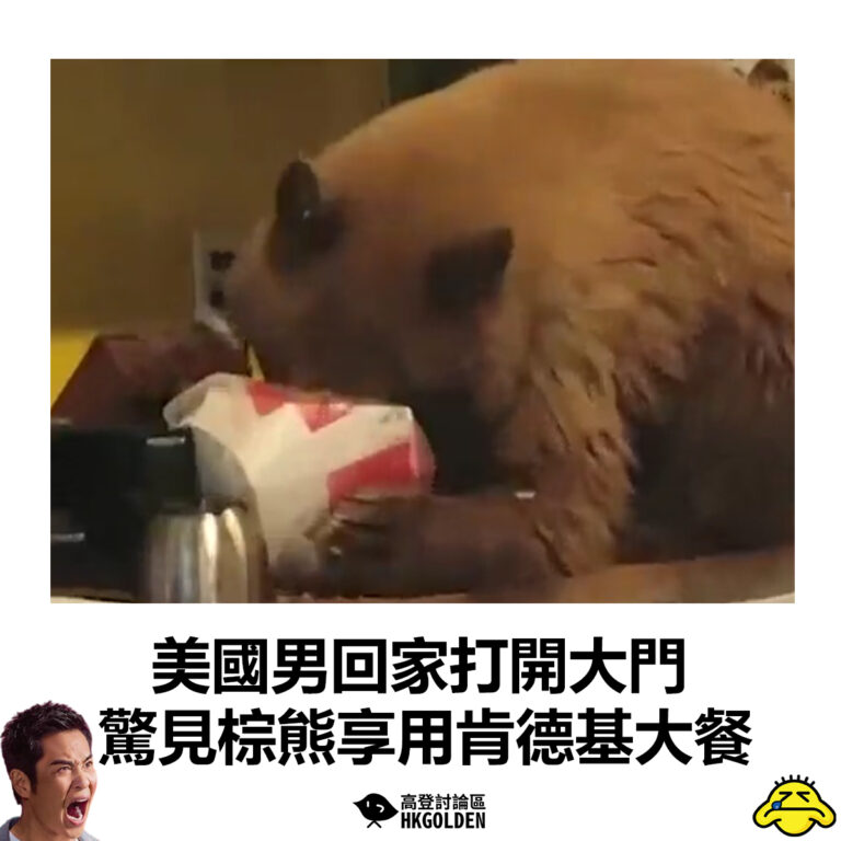 【美國男回家打開大門 驚見棕熊享用肯德基大餐】