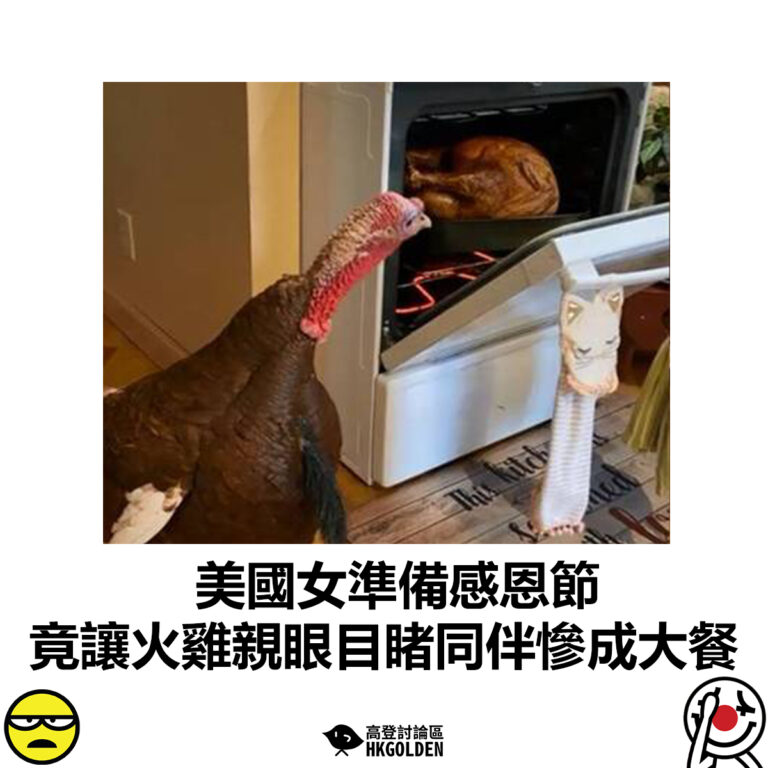【美國女準備感恩節 竟讓火雞親眼目睹同伴慘成大餐】