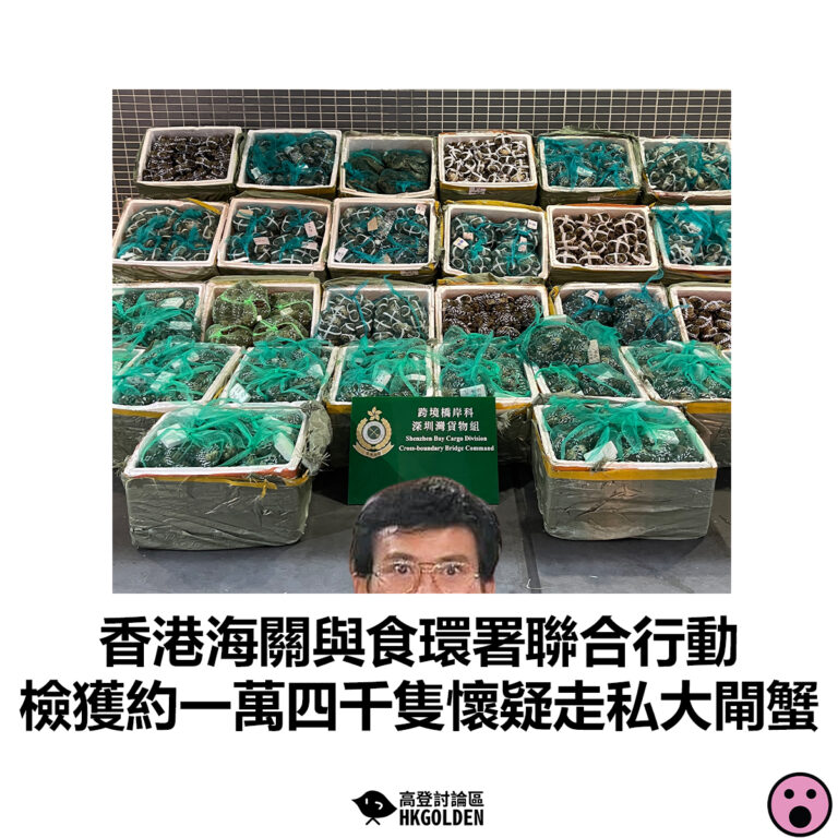 【香港海關與食環署聯合行動 檢獲約一萬四千隻懷疑走私大閘蟹】