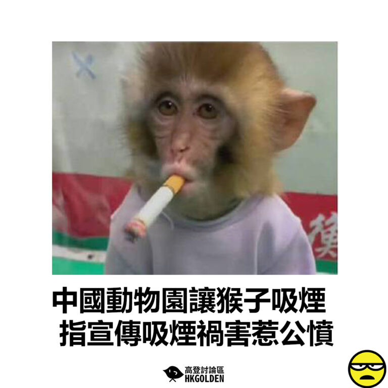 【中國動物園讓猴子吸煙 指宣傳吸煙禍害惹公憤】