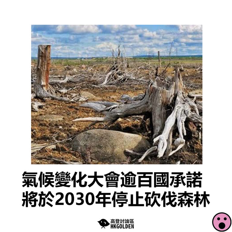 【氣候變化大會逾百國承諾 將於2030年停止砍伐森林】