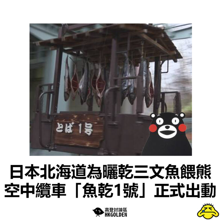 【日本北海道為曬乾三文魚餵熊  空中纜車「魚乾1號」正式出動】
