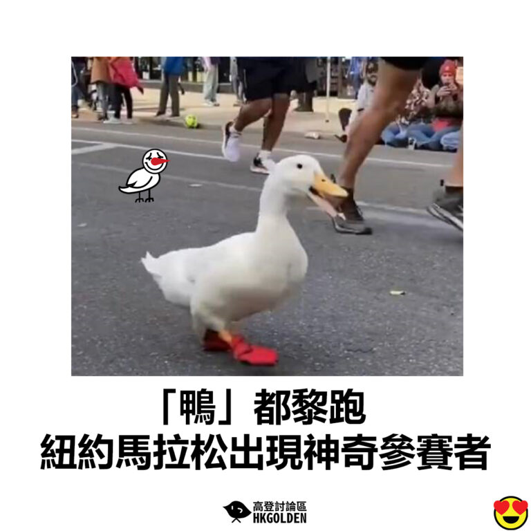 【「鴨」都黎跑  紐約馬拉松出現神奇參賽者】