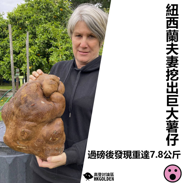 【紐西蘭夫妻挖出巨大薯仔 過磅後發現重達7.8公斤】