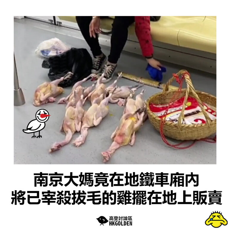 【南京大媽竟在地鐵車廂內 將已宰殺拔毛的雞擺在地上販賣】