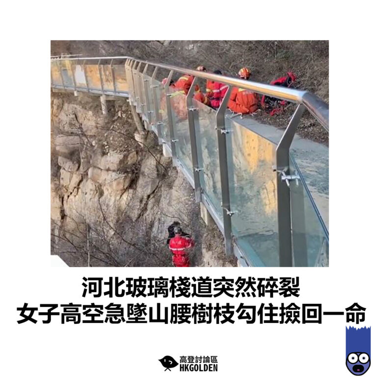 【河北玻璃棧道突然碎裂  女子高空急墜山腰樹枝勾住撿回一命 】