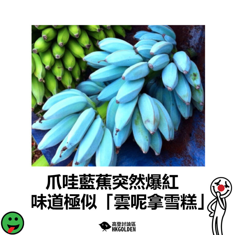 【爪哇藍蕉突然爆紅  味道極似「雲呢拿雪糕」】