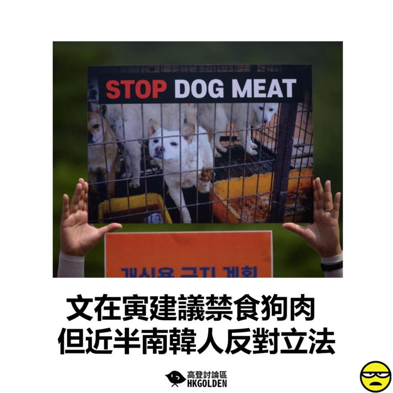 【文在寅建議禁食狗肉 但近半南韓人反對立法】