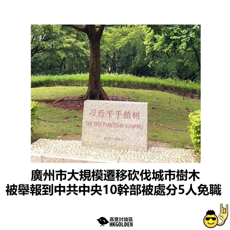 【廣州市大規模遷移砍伐城市樹木 被舉報到中共中央10幹部被處分5人免職】