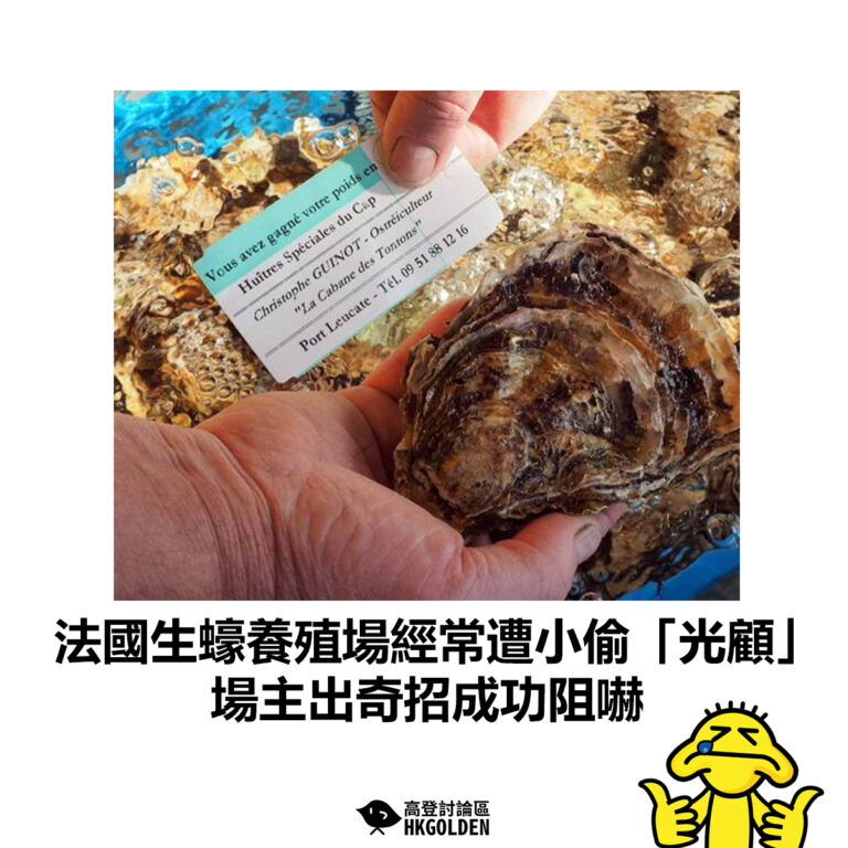 【法國生蠔養殖場經常遭小偷「光顧」 場主出奇招成功阻嚇】