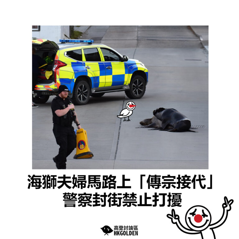 【海獅夫婦馬路上「傳宗接代」 警察封街禁止打擾】