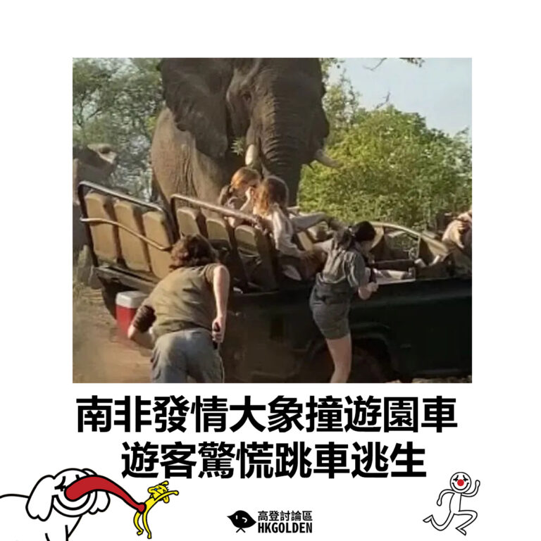 【南非發情大象撞遊園車 遊客驚慌跳車逃生】