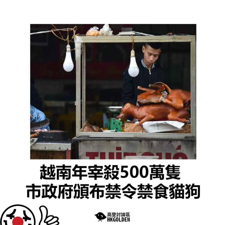 【越南年宰殺500萬隻  市政府頒布禁令禁食貓狗】