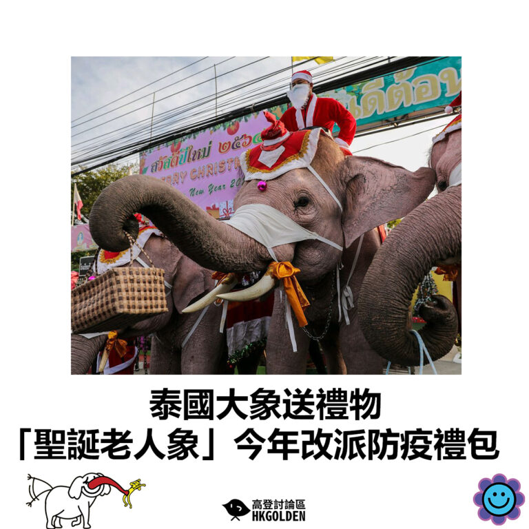 【泰國大象送禮物 「聖誕老人象」今年改派防疫禮包】