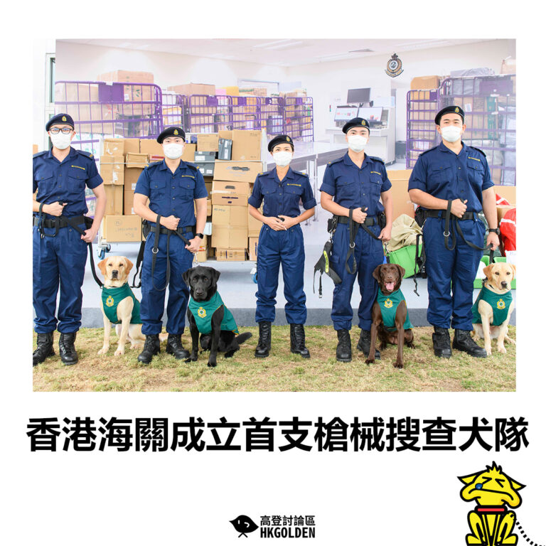 【香港海關成立首支槍械搜查犬隊】