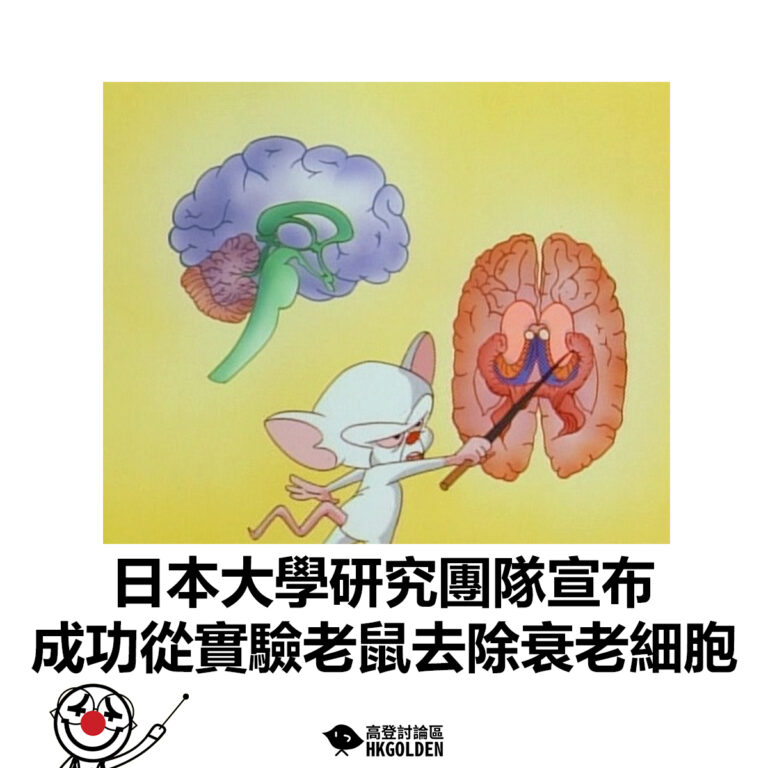 【日本大學研究團隊宣布 成功從實驗老鼠去除衰老細胞】