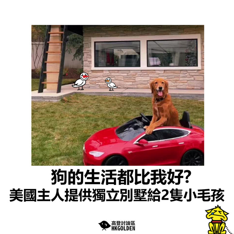 【狗的生活都比我好?  美國主人提供獨立別墅給2隻小毛孩】